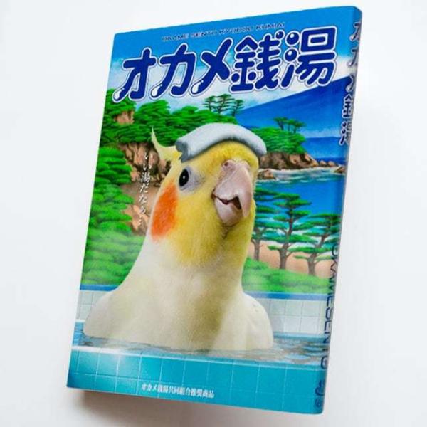 TOMO YAMASHITA DESIGN STUDIO.  �������@�I�J���K���@195A0433 �l�R�|�X�Ή��\ BIRDMORE �o�[�h���A CRAFT GARDEN ���O�b�Y ���p�i �G�� ��