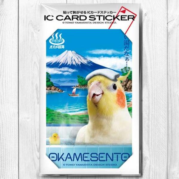 TOMO YAMASHITA DESIGN STUDIO. IC J[hXebJ[ IJK@195A0444 lR|X Ή\ BIRDMORE o[hA pi ObY G  Ƃ v[g