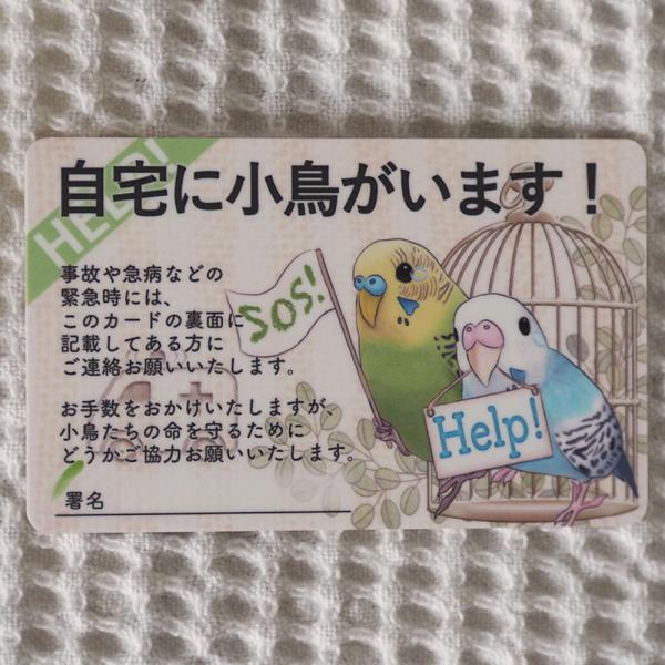 事故や急病などで飼い主さんに万一のことがあった時、お家の鳥さんを信頼する方に託すための『飼い鳥のための緊急連絡先カード』プラスチックカード版を作りました。両面ともサラサラのマット仕様なので、油性ペンはもちろん、鉛筆やボールペンなどでも記入で...