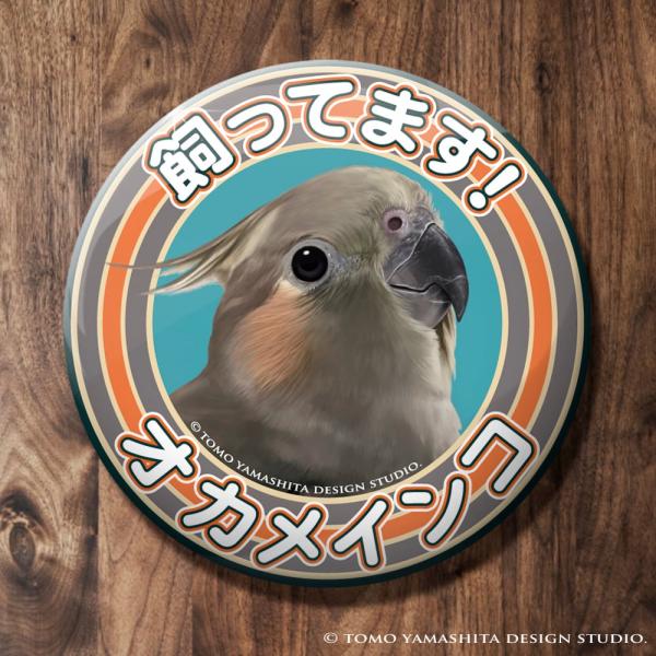 [Release date: August 22, 2025]飼ってます缶バッジ　「オカメインコ ノーマル メス」57mmの缶バッジです♪