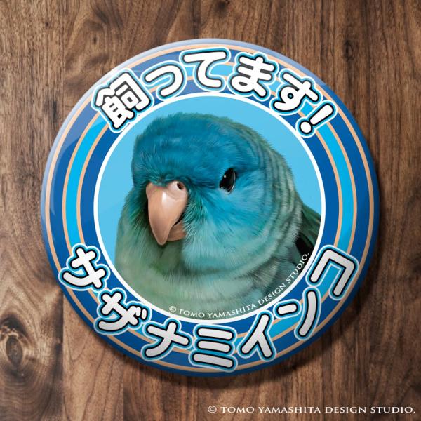 [Release date: August 22, 2025]飼ってます缶バッジ　「サザナミインコ ブルー」57mmの缶バッジです♪