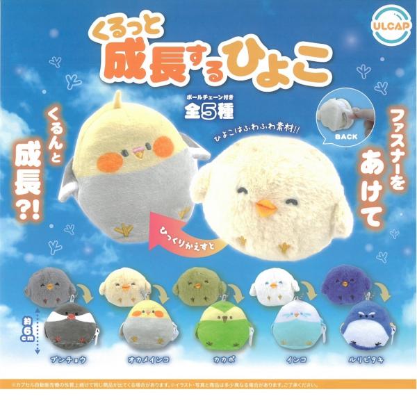 birdmore_0-200001022699-10