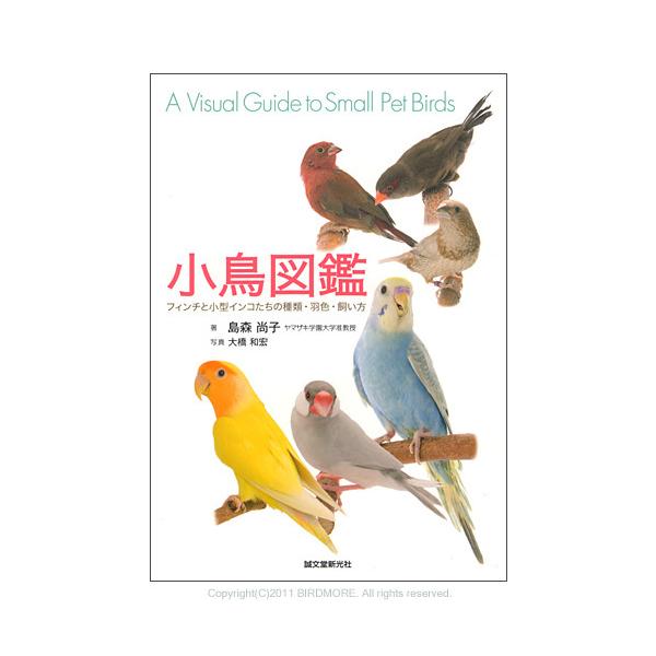 誠文堂新光社 小鳥図鑑 9993280 ネコポス 対応可能 BIRDMORE バードモア 鳥用品 鳥グッズ 雑貨 鳥 とり プレゼント