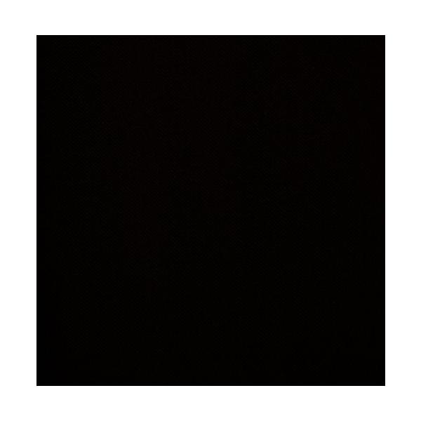 Outlook 09 10 Color Color Black Liner Custom Saturn Black Saturn Pet Cargo 並行輸入品 Birmxxamb00bmcx462 バーミンガム エクスプレス