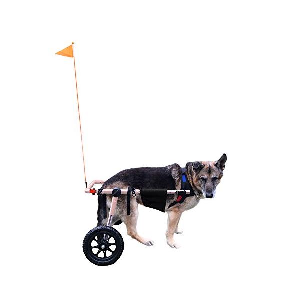 Walkin Wheels Elite 犬用品 Dog Wheelchair For Large Back Dogs 70 180 Pounds Veterinarian Approved Dog Wheelchair For Back Legs With Upgraded Accessories Birmxxamb07cq2gk3b バーミンガム エクスプレスあす楽 完成品 激安店舗 激安販売