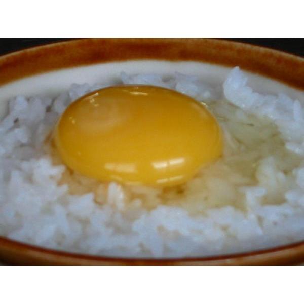 庭鶏の卵1ケース(6個入)