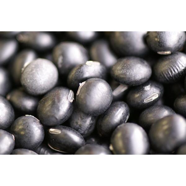 黒豆【黒大豆】５００ｇ(令和7年産)国産秋田県