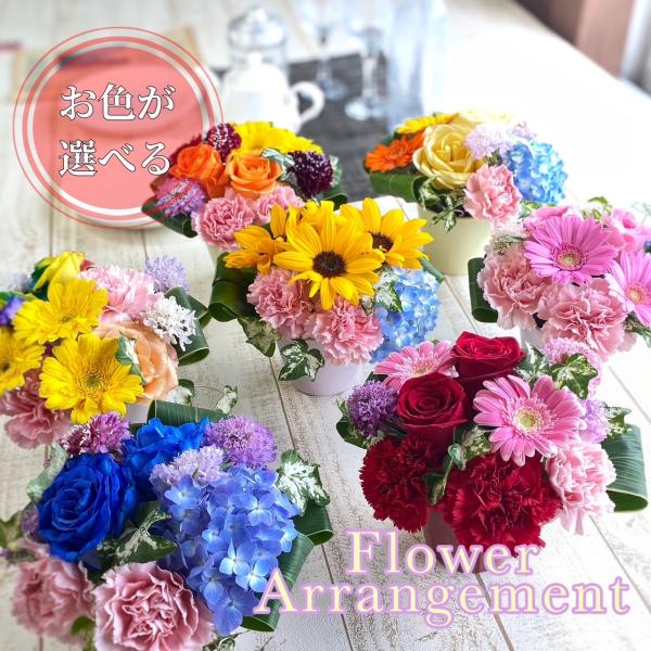 クール便配送】【6カラー】【器に入った フラワーアレンジメント