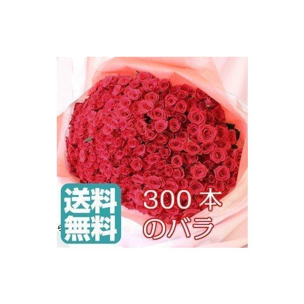 ỏԑ 300{  w ̓ {[ ԑ o LO ỏԑ j Mtg  v|[Y v[g Ԃ