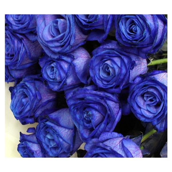登場 人気カラーの 青いバラ ブルーローズ 本 花束をブーケスタイルで 青い薔薇 お祝い 生花 お祝い プレゼント バラ ギフト