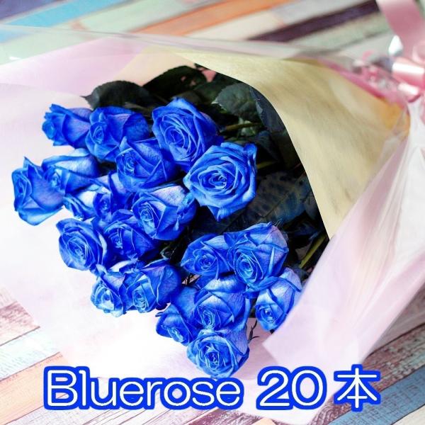 お取り寄せ の青いバラブルーローズ本花束青い薔薇プレゼントお祝いのギフトにお祝いギフト100 の保証の