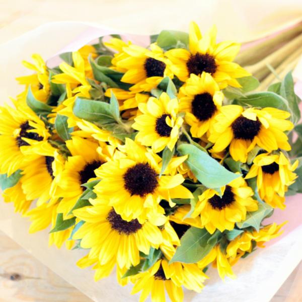 ひまわりの花束 30本 生花 ひまわり ヒマワリ 向日葵 花束 プレゼント ギフト 誕生日 結婚記念日 歓迎 送迎 女性 Buyee Buyee Japanese Proxy Service Buy From Japan Bot Online
