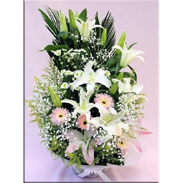     m t[AWg No.6 FIׂ S/W/Jt Mtg v[g Ԃ