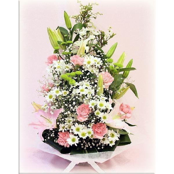     m t[AWg No.7 փ S/W/Jt Mtg v[g Ԃ