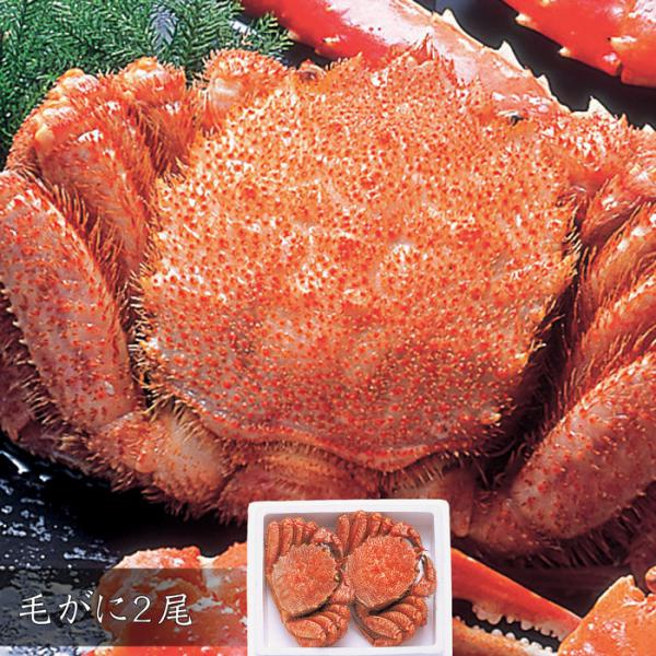 Ε(Ε)Mtg2025ɂIт2Ek̊CN߂MtgE