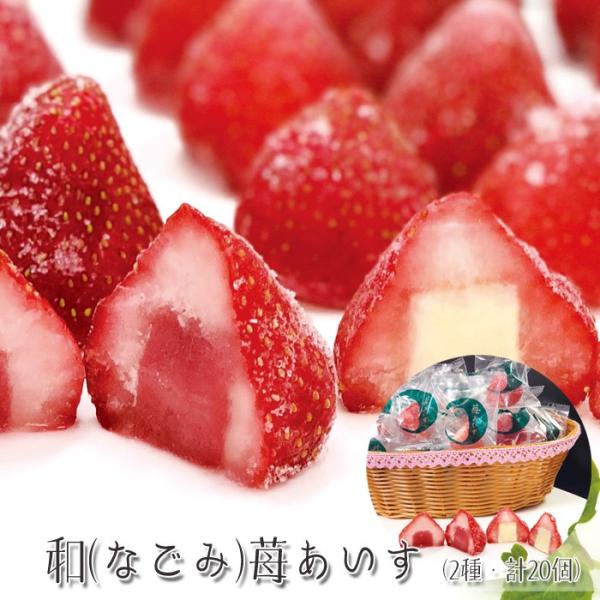 Ε(Ε)Mtg2025ɂIa(Ȃ)䕂i2Ev20j mn