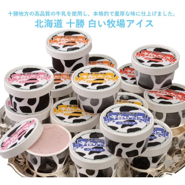 Ε(Ε)Mtg2025ɂIkC \ qACXE