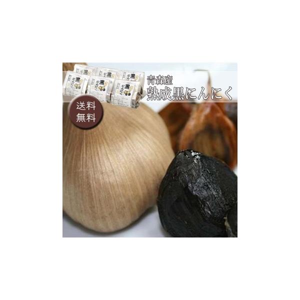 Ε(Ε)Mtg2025ɂIXY@nɂɂ mn