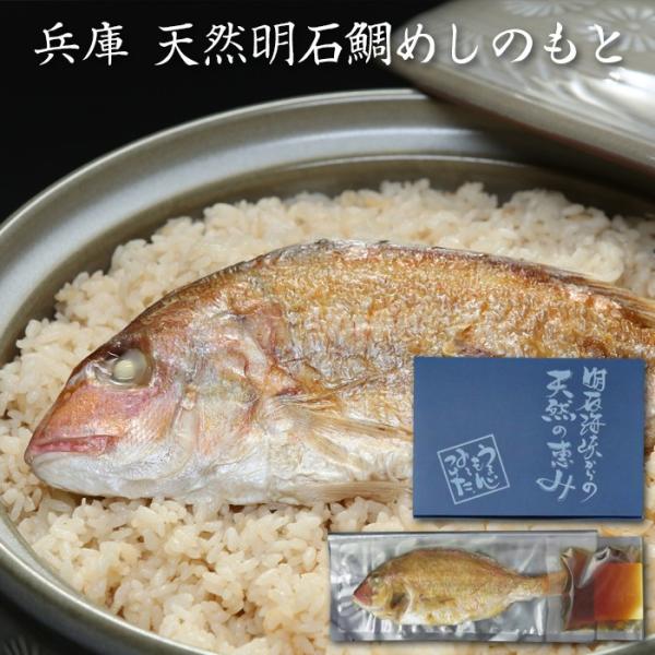 Ε(Ε)Mtg2025ɂI VRΑ߂̂ƁE