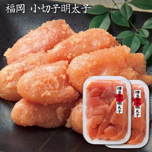 Ε(Ε)Mtg2025ɂI ؎qqE