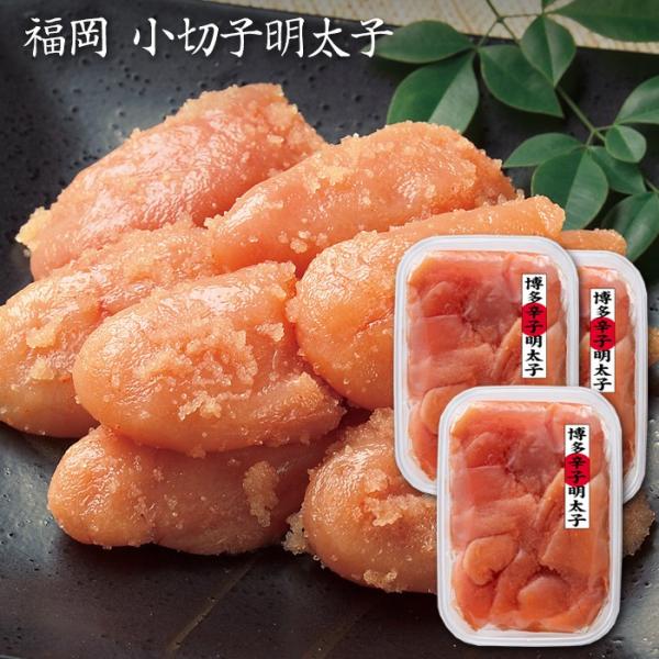 Ε(Ε)Mtg2025ɂI ؎qqE