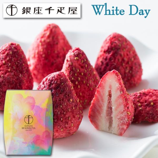 zCgf[2026uDṽ`R[gmԂ XC[c v[g Mtgn