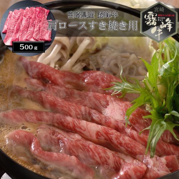 Ε(Ε)Mtg2025ɂI{茧Y  [XĂpi500gj mn