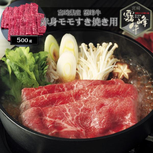 Ε(Ε)Mtg2025ɂI{茧Y  ԐgĂpi500gj mn