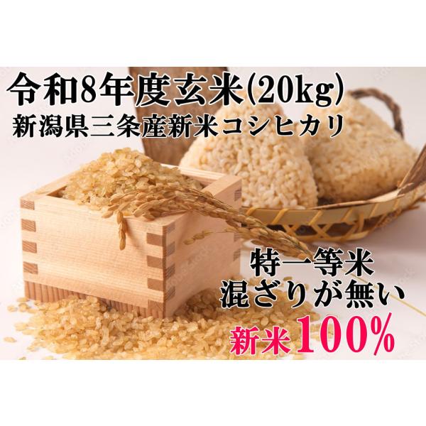 【令和8年度】新米 新潟産コシヒカリ 玄米 (10kg×2) 20kg  自家製 新米100% BKS-920