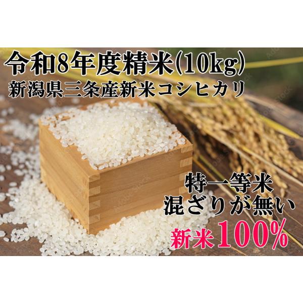 【令和8年産】新米 新潟産コシヒカリ 精米 10kg 自家製 混ざりが全く無い 純100% BKS-910
