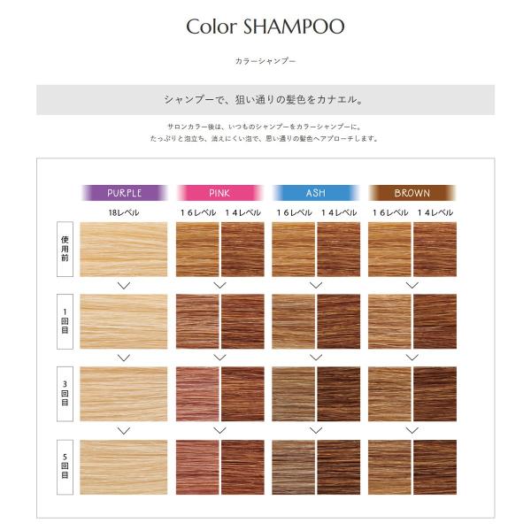 hoyu（ホーユー） プロフェッショナル ソマルカ カラーシャンプー