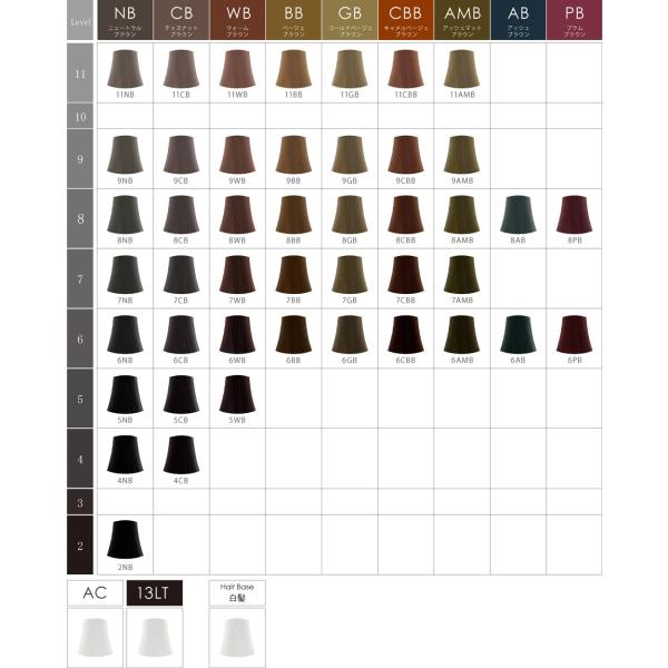 サンコール R 21 カラーソムリエ Ha Na ベージュブラウン 80g ヘアカラー1剤 医薬部外品 業務用 Buyee Buyee 日本の通販商品 オークションの代理入札 代理購入