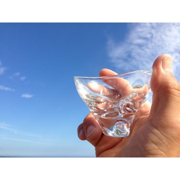 Glass Calico グラスキャリコ ハンドメイド ガラス酒器 ミナモ ぐい呑 ギフト おしゃれ Buyee Buyee Japanese Proxy Service Buy From Japan Bot Online
