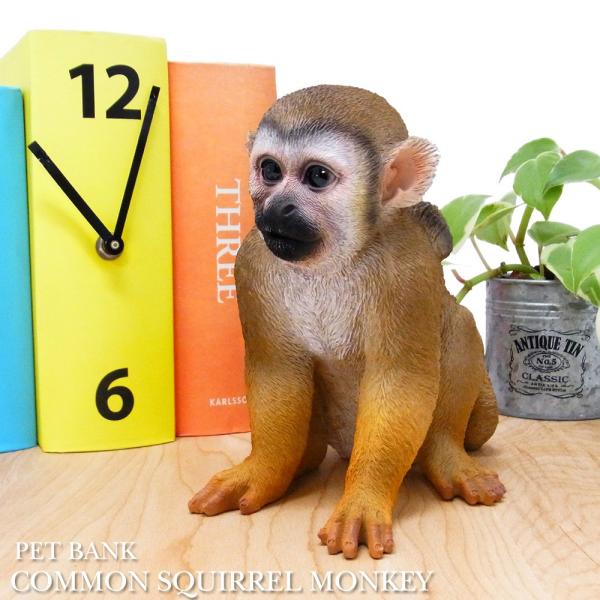 貯金箱 ペットバンク コモンリスザル Pet Bank Common Squirrel Monkey Buyee Buyee 提供一站式最全面最專業現地yahoo Japan拍賣代bid代拍代購服務 Bot Online