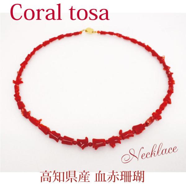 bitokenko-net_coral-yatara2103y bitokenko-net_coral-yatara2103y