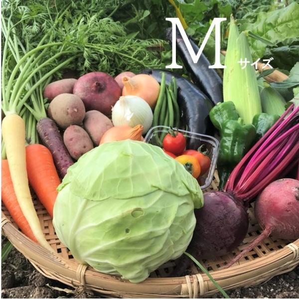びわ湖が恋する野菜たちの野菜ボックスMサイズです！・滋賀県の環境負荷の少ない農法で育てられた野菜です。栄養分たっぷりの安心・安全な野菜です。・ボックスの中味は、多品目栽培を行うひとつの農家さんで育てられた野菜です。多くの農家さんから集めてき...