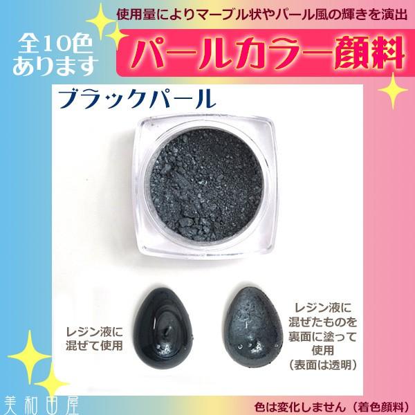 パールカラー顔料 ◆ブラックパール/ パール顔料 パールパウダー レジン ネイル ハンドメイド 手芸