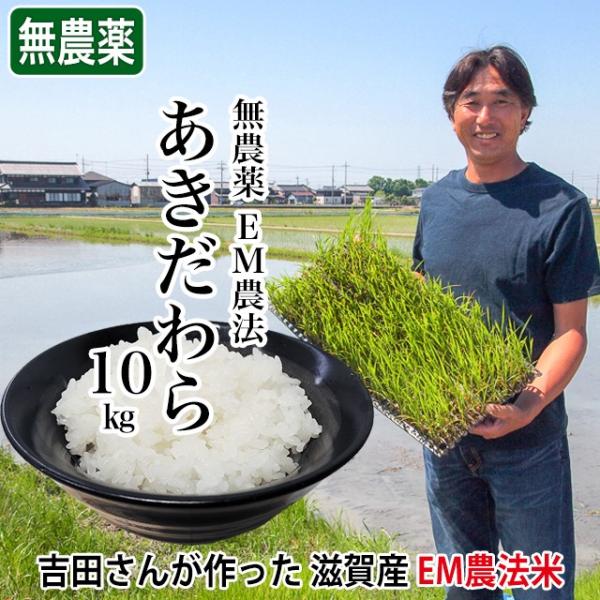 2021年度 米 あきだわら 10kg 5kg×2袋 吉田農園 無農薬 滋賀県産 白米 玄米 送料無料