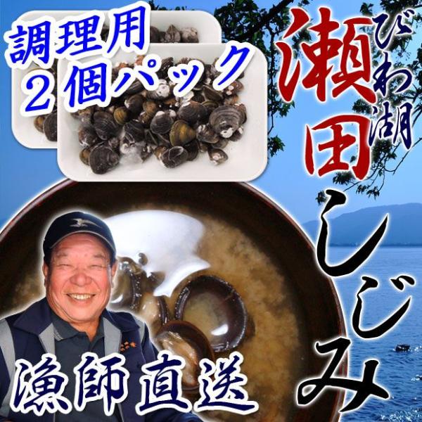 VR c 210g 2pbN Ⓚ p iΎY ꌧY FX 