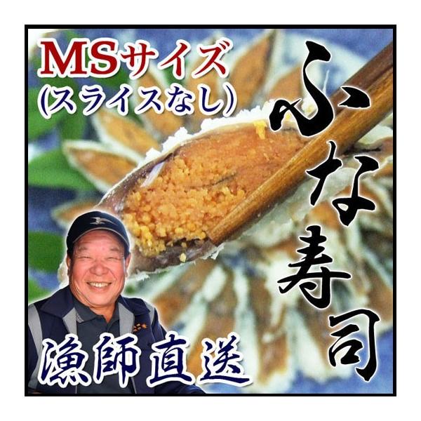 q i MSTCY  120gۈ iΎY VRjSui y ꌧ  FX 