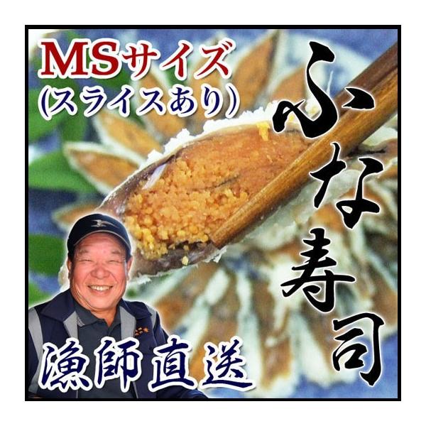 q i MSTCY 120g XCX iΎY VRjSui y ꌧ  FX 