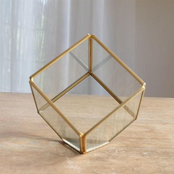 テラリウム キューブ15 : ガーデニング日和 - 通販 - Yahoo!ショッピング