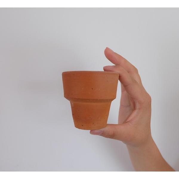 植木鉢 おしゃれ リトルテラコッタ鉢 5個セット 素焼き鉢 サボテン 多肉植物 かわいい Buyee Servis Zakupok Tretim Licom Buyee Pokupajte Iz Yaponii