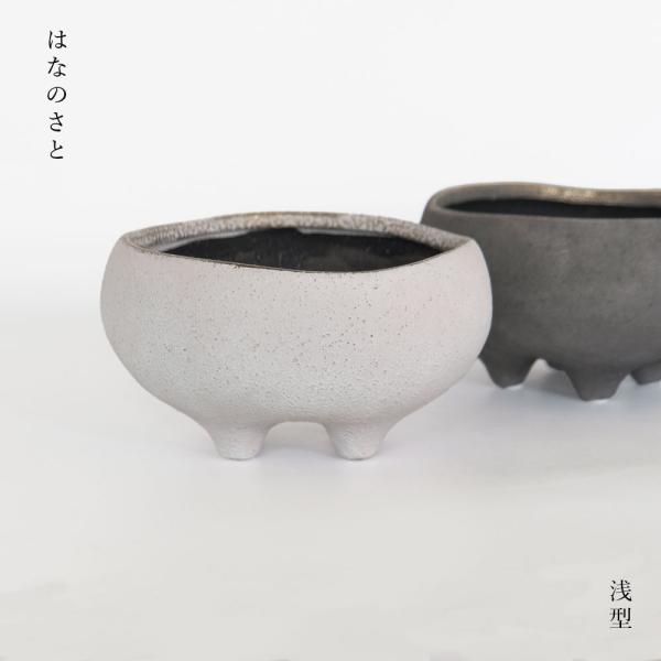 biyori_mm-hanasatolow
