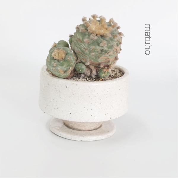 和のテイストを感じさせる陶器鉢！-----------------------------------------●商品名 :まつほL 受皿付き ●内容 : 本体×1、ソーサー×１●素材 : 陶器●サイズ:本体:Φ15/H10xm 受皿:Φ...