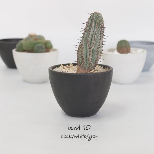 Progress Bowl Pot M  植木鉢　コーデックス Amazon.co.jp: BLACK PLASTIC POT【BOWL】ボウルタイプ 黒 プラ
