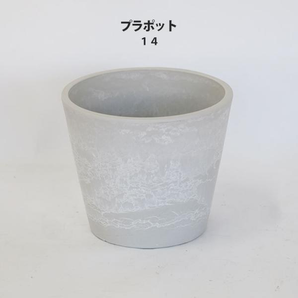 シンプルなフォルムのスタンダードタイプのプラポット樹脂製で頑丈、軽量の白い植木鉢です。----------------------------------------------●商品名: プラ鉢  ホワイトポット 14●内容 : 本体×1...