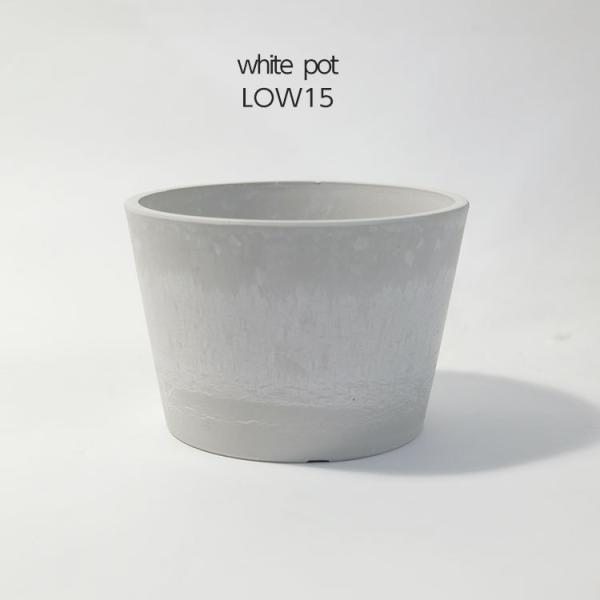 プラ鉢 ホワイトポット ロータイプ15 サボテン 頑丈 おしゃれ 塊根植物 多肉 黒プラスチック鉢 コーデックス Buyee Buyee 日本の通販商品 オークションの代理入札 代理購入