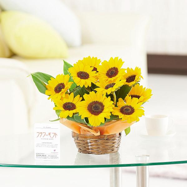 生花 ひまわり アレンジメントフラワーの人気商品 通販 価格比較 価格 Com