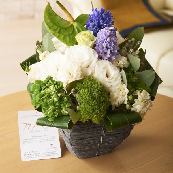 fUCi[Yt[@AWg@X}C[@Jewelryip[vj